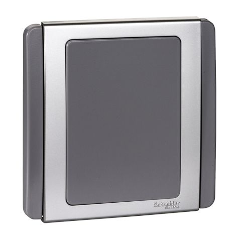 Schneider 1 Gang Blank Plate