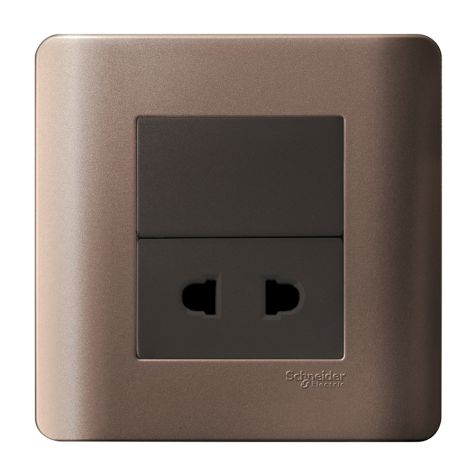 Schneider 10A 1 Gang Universal Socket