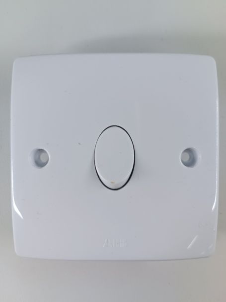 ABB 1G 2W 10AX Switch - CSW102