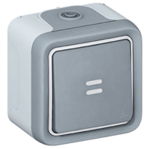 Legrand Switch Plexo IP55 - 2-way + indicator - 10 AX 250 V~ - surface mounting -grey - 69712