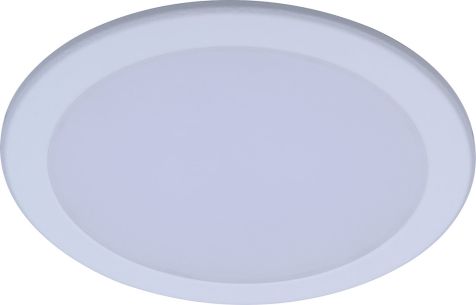 Philips DN027B LED9/NW D125 RD
