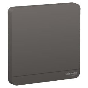 Schneider AvatarOn, Blank Plate, 1G, Dark Grey - E8330X_DG