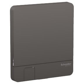 Schneider AvatarOn, Cover Plate for Switch Key Holder, Dark Grey - E8331KH_DG