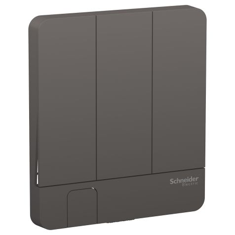 Schneider AvatarOn, Cover Plate for Switch, 3 rocker, Key holder, Dark Grey - E8333KH_DG