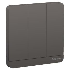 Schneider AvatarOn, 3 time delay switch, 4A, 250V, Dark Grey - E8333PRL1_DG_G3