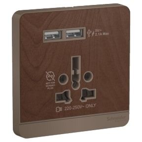 Schneider AvatarOn, USB charger + 2 Socket Outlet, 2P, 16A, Wood - E8342616USB_WD