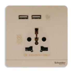 Schneider AvatarOn, USB charger + 2 Socket Outlet, 2P, 16A, Wine Gold - E8342616USB_WG