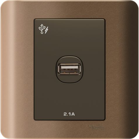 Schneider Zencelo, USB Socket, 2.1A, Silver Bronze - E8431USB_SZ