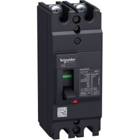 Schneider MCCB Easypact EZC 100H - TMD -  15 A - 2 poles 2d - circuit breaker - EZC100H2015