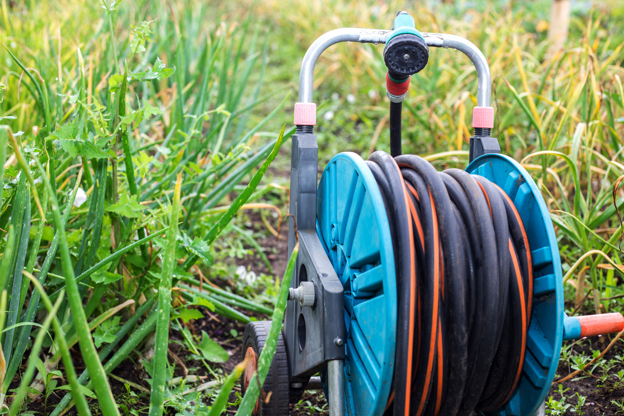 Cara Memasang Hose Reel yang Paling Mudah dan Bebas Ribet!